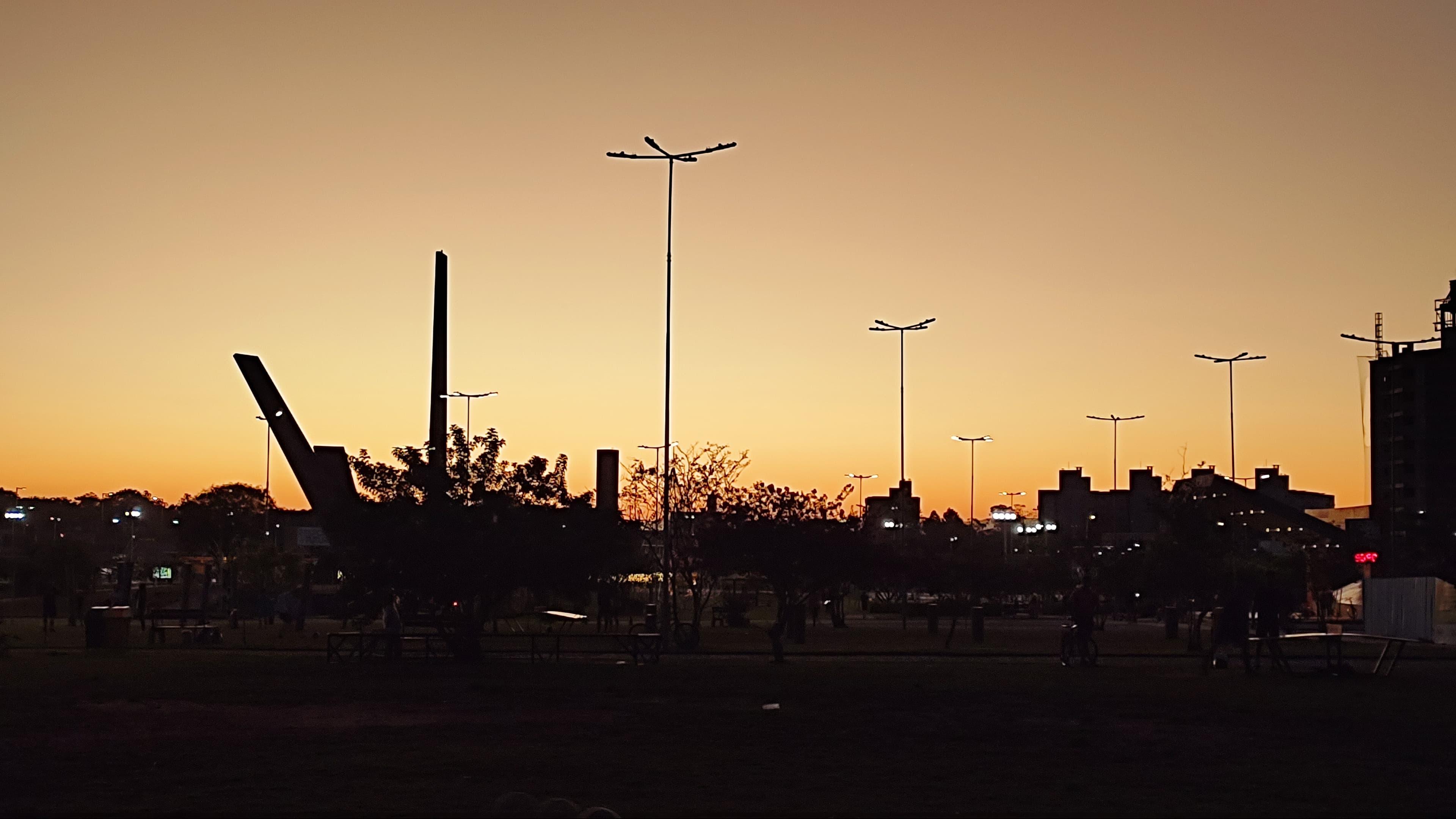 Image of flowers and other things